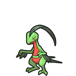 grovyle stats|Grovyle Pokédex .